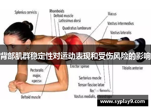 背部肌群稳定性对运动表现和受伤风险的影响